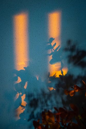 Hot and Cold - still life by Ellis Peeters