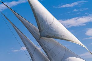 Detail eines Segelschiffes auf der Ostsee während der Hanse Sai