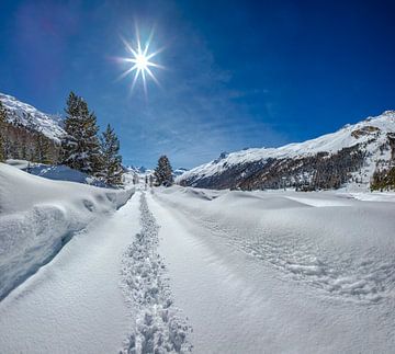 Wandelaars spoor in het zwaar besneeuwde Roseg dal, Pontresina, Oberengadin, Zwitserland van Rene van der Meer