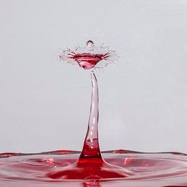 Waterdruppel von Guus Jamin