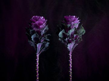 Cabbage Patch duo by Mariska Vereijken