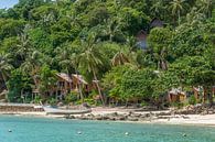 Tropisch eiland van Richard van der Woude thumbnail