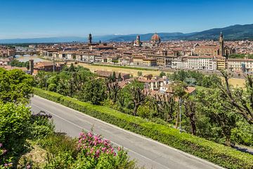 FLORENCE View from Piazzale Michelangelo van Melanie Viola