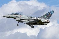 L'Eurofighter Typhoon italien lors de la réunion du Tigre de l'OTAN en 2024