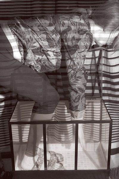 Flying by True Color Stories