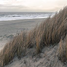 Duinlandschap met uitzicht op de zee van Dixy Kracht