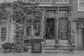 Pumpkin time by Peter Bartelings