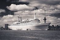 SS Rotterdam in Sepia von Ronne Vinkx Miniaturansicht