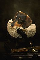 A dogs tale