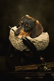 Eine Hundegeschichte