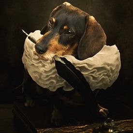 A dogs tale van Babette van den Berg