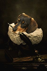Eine Hundegeschichte