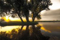 Early morning sun in the polder