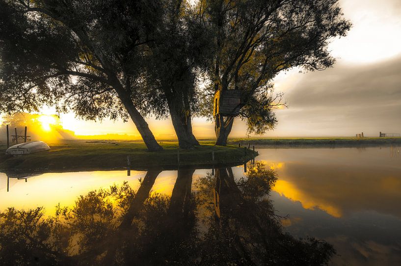 Frühe Morgensonne im Polder von Marc Hollenberg