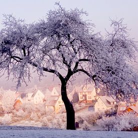winterlandschap in pasteltinten van Vera Zuur