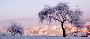 Winterlandschaft in Pastelltönen von Vera Zuur