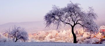 paysage d'hiver dans des tons pastels