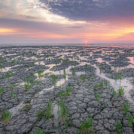 zonsondergang aan de waddenzee bij Koehool tijdens droogte van Thea.Photo