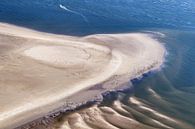Zeehonden op zandbank van Roel Ovinge thumbnail