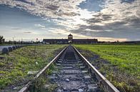 The railway track to Auschwitz by Caught By Light thumbnail