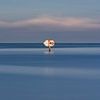 La mer des Wadden en 336 secondes sur Albert Wester Terschelling Photography