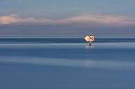 La mer des Wadden en 336 secondes sur Albert Wester Terschelling Photography Aperçu