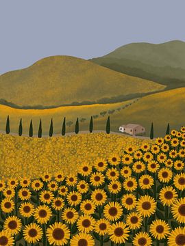 Sonnenblumenfelder zwischen den Hügeln