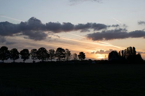 Typical Dutch landscape in morning glow