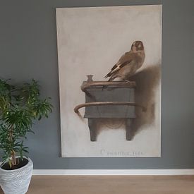 Klantfoto: Het puttertje, Carel Fabritius, op canvas