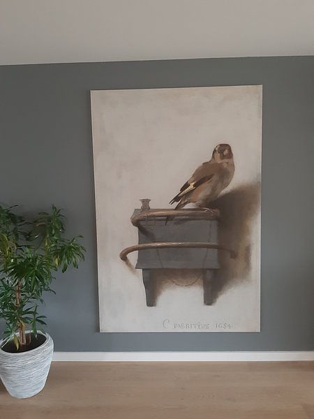 Kundenfoto: Der Distelfink von Carel Fabritius, auf Leinwand