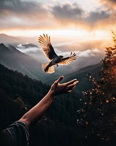 Abenteuer in der Natur