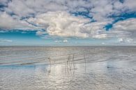 Wolkenlucht boven het Wad vanaf Lauwersoog van Harrie Muis thumbnail