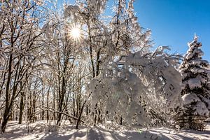 Winterse sneeuw