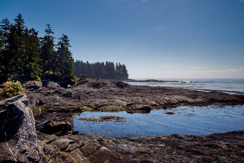 Botanical Beach by Dirk Rüter