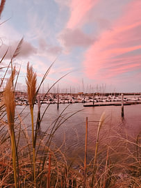 Rosarote Abendruhe am Segelhafen von Patrick Wittling