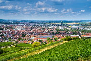 Germany, Fellbach houses of city near stuttgart from above vineyards by adventure-photos