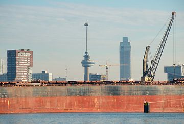Schepen in de Waalhaven lossen met hijskraan van scheepskijkerhavenfotografie