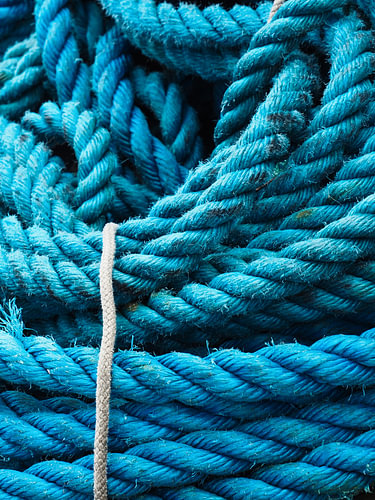 Rosée en bleu