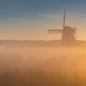 Le moulin de Lienden sur Albert Lamme