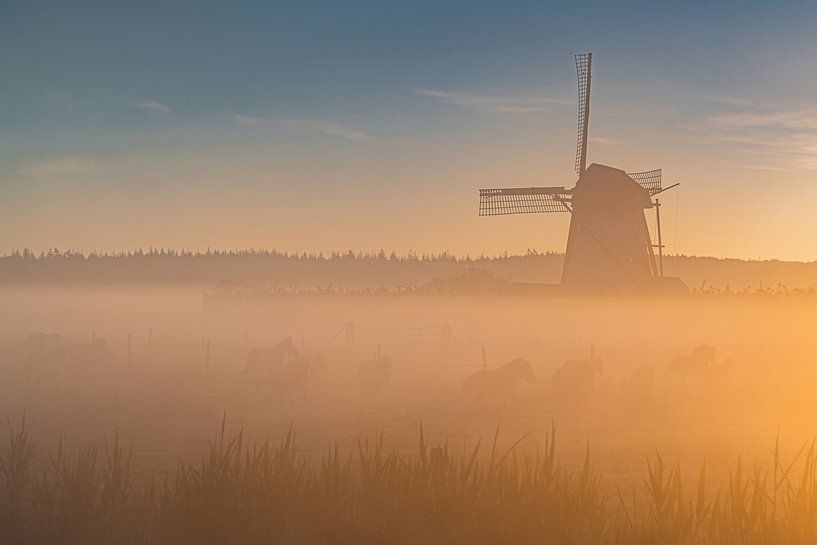 The mill of Lienden by Albert Lamme