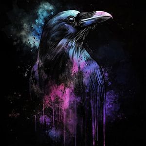 Rabe in schwarz und violett