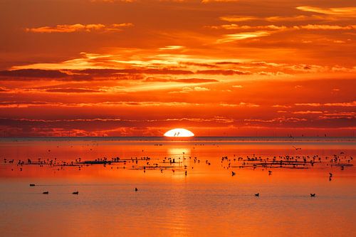 Sunset on the mud flats by Wad of Wonders