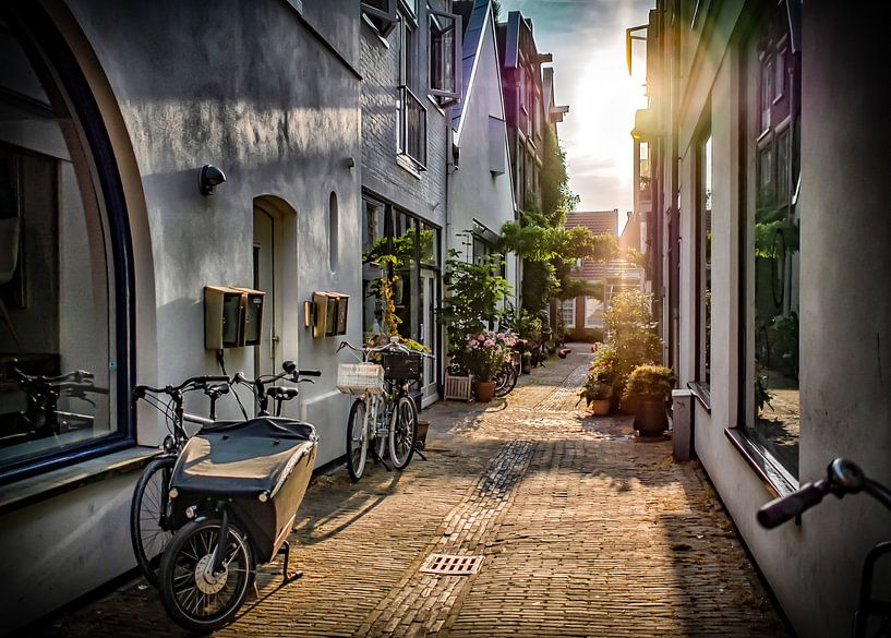 Mooi Haarlem van Natascha Worseling