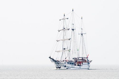 Abel Tasman
