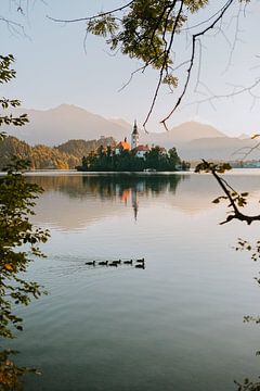 Lake Bled by Maikel Claassen Fotografie