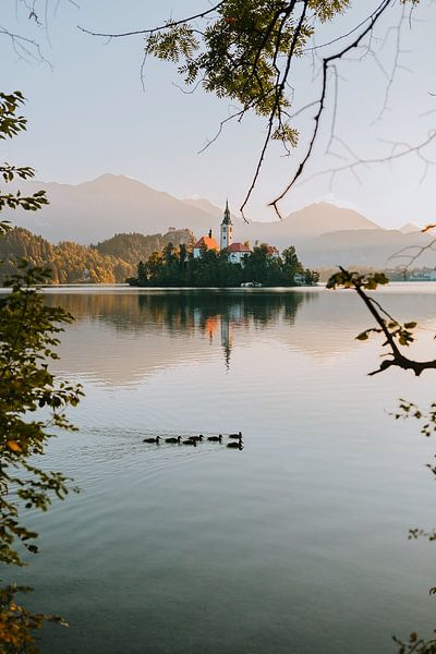 Plus de Bled par Maikel Claassen Fotografie