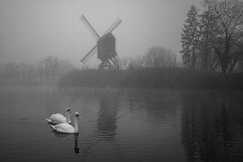 Windmühle mit Schwänen von Bart Liesenborgs