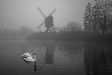 moulin à vent avec cygnes