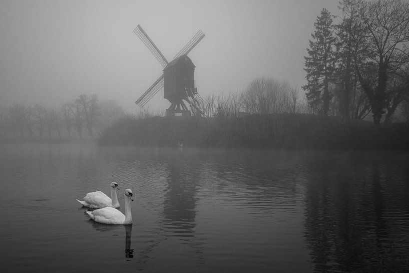 moulin à vent avec cygnes par Bart Liesenborgs