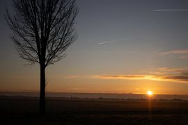 der Aufgang der Sonne an einem frostigen Morgen